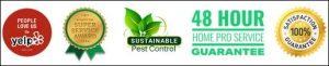 pest control services cape cod