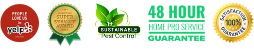 pest control trusted services